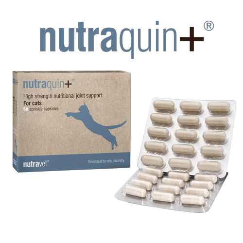 Nutraquin+ Cat 60 Capsules
