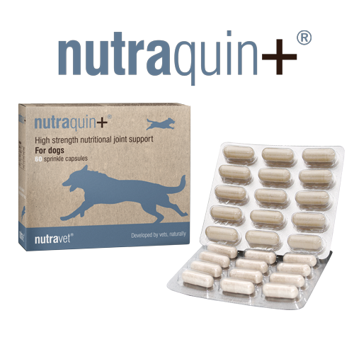 Nutraquin+ Natural Joint Support for Dogs - 60 Capsule Pack