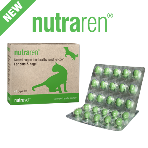 Nutraren Natural Kidney Support - 45 Capsule Pack